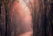 爱游戏：阿瑙：队医检查用药后症状得到缓解 错失机会我有责&前锋必须进球.