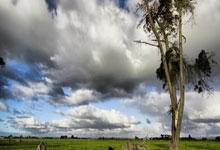 爱游戏：西甲-莱万哑火贝克尔制胜 巴萨0-1皇家社会.