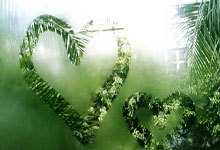 爱游戏：2024-2025全国滑雪定向挑战赛内蒙古鄂尔多斯站开赛2025-02-24.